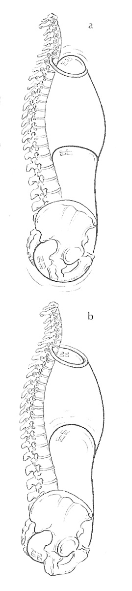 The Chambers of the Body